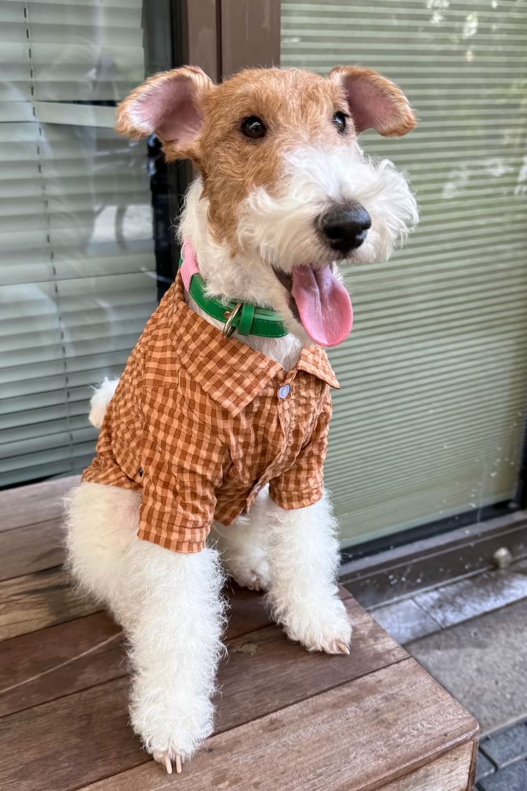 Gentle Waffle Polo
