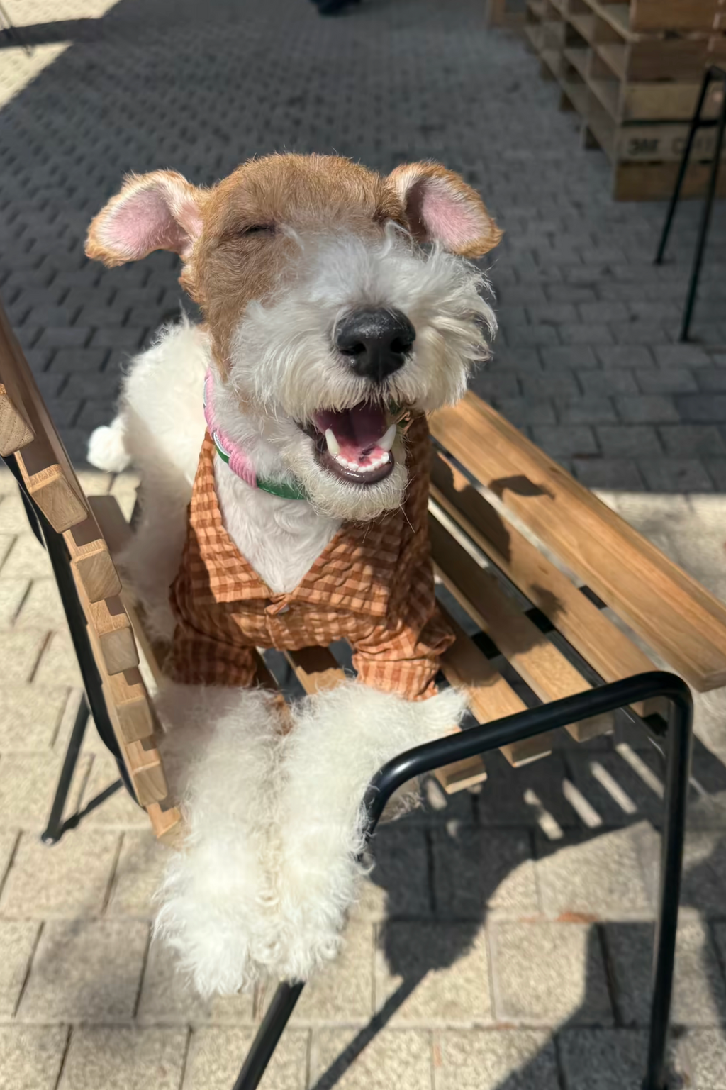 Gentle Waffle Polo