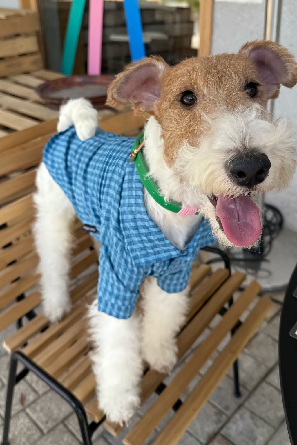 Gentle Waffle Polo