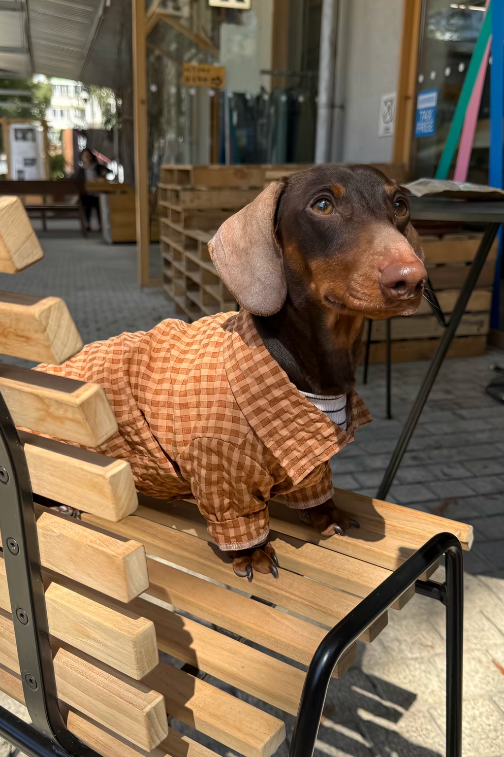 Gentle Waffle Polo