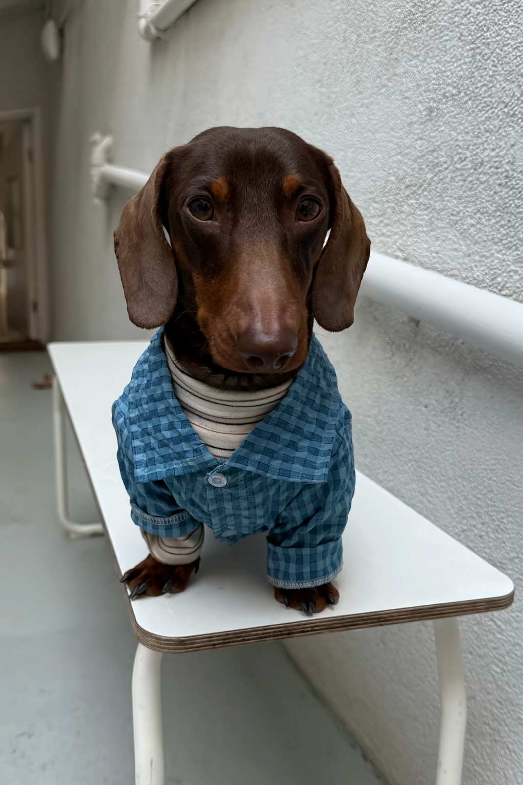 Gentle Waffle Polo