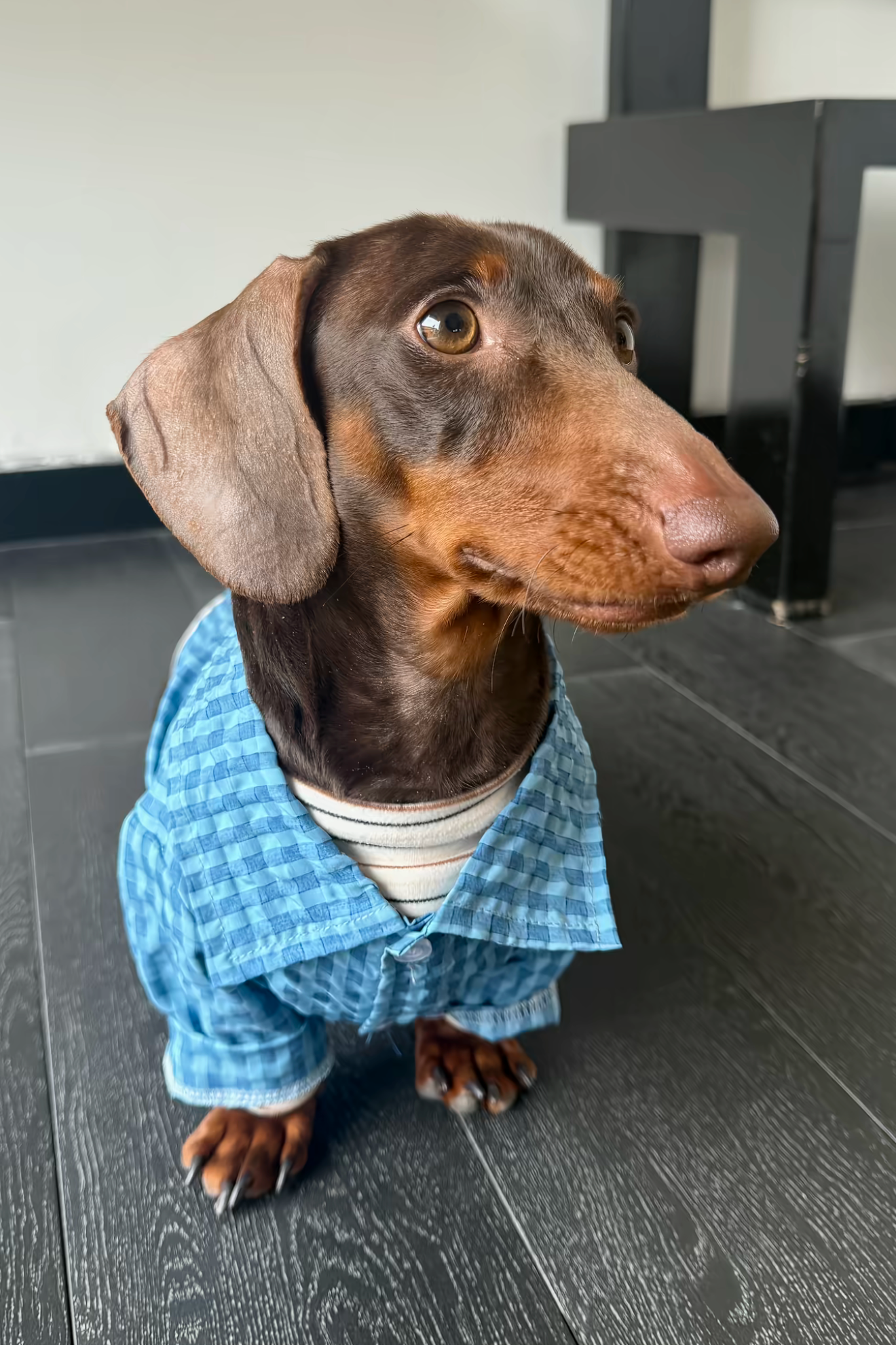 Gentle Waffle Polo