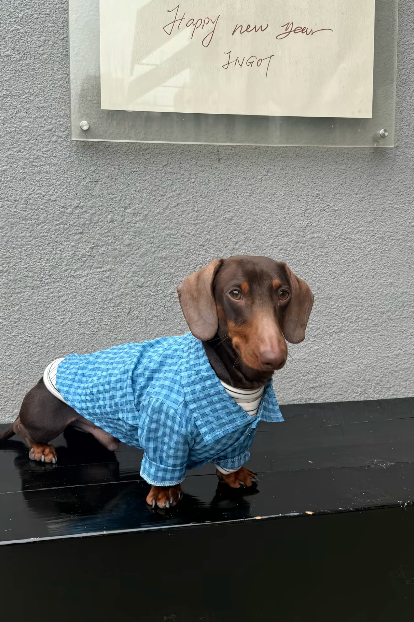 Gentle Waffle Polo