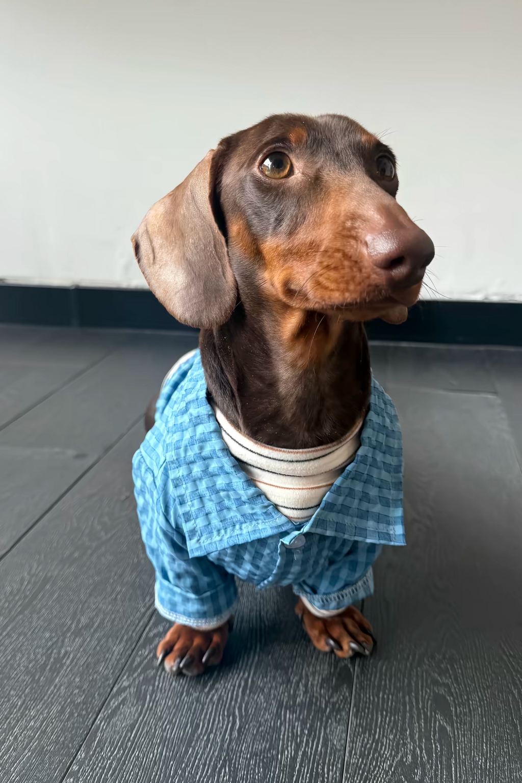 Gentle Waffle Polo