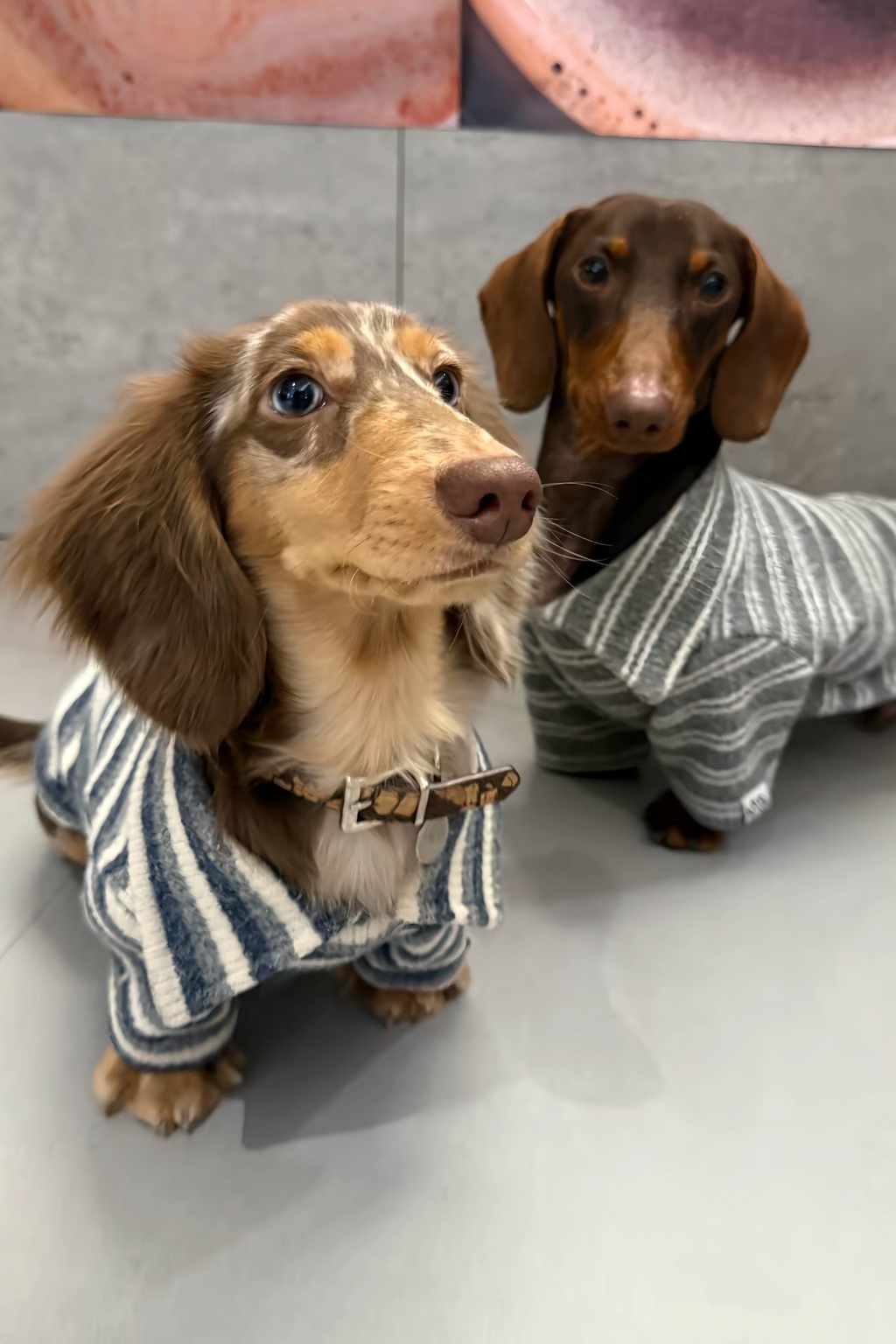 Gentle Blue Striped Polo