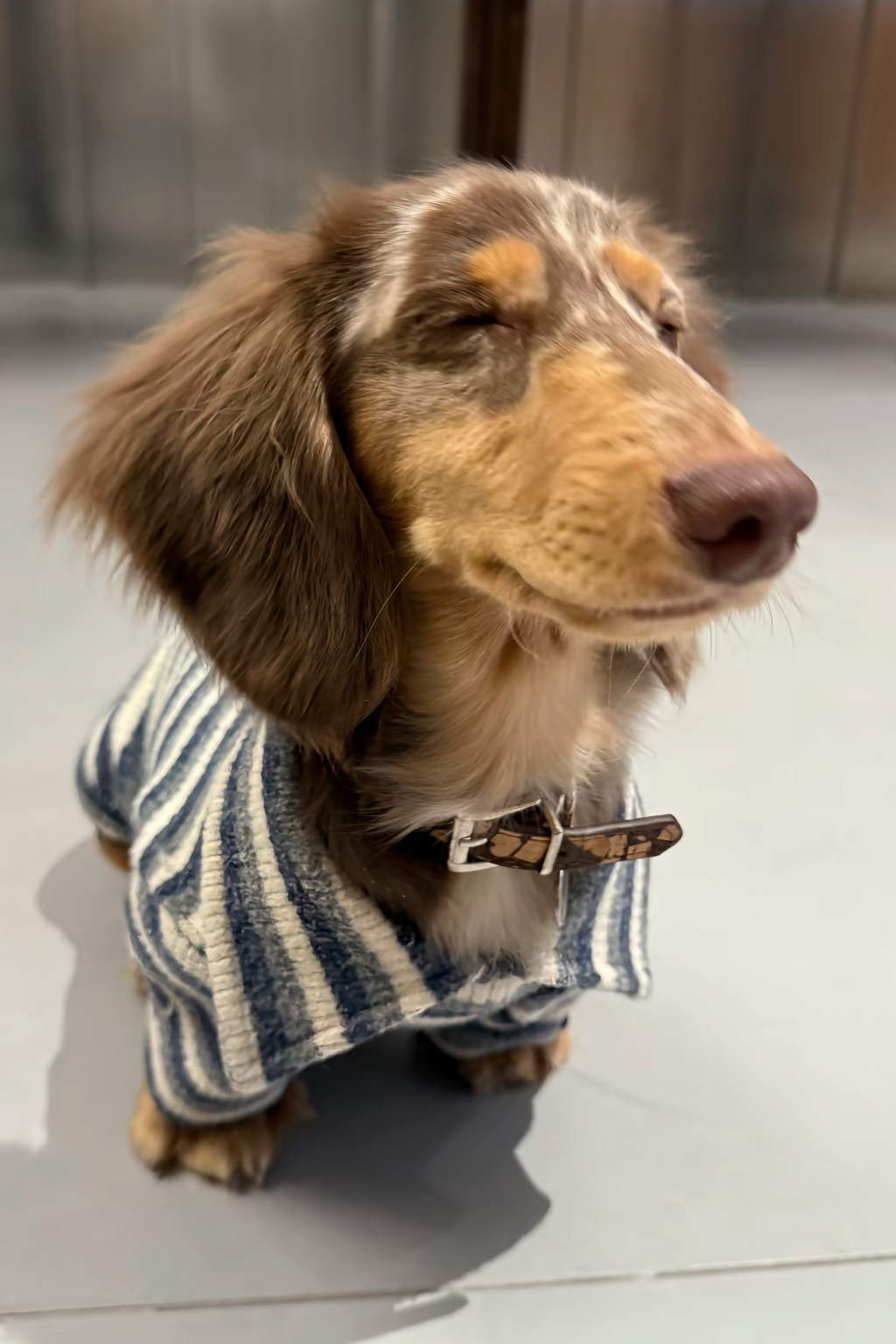 Gentle Blue Striped Polo