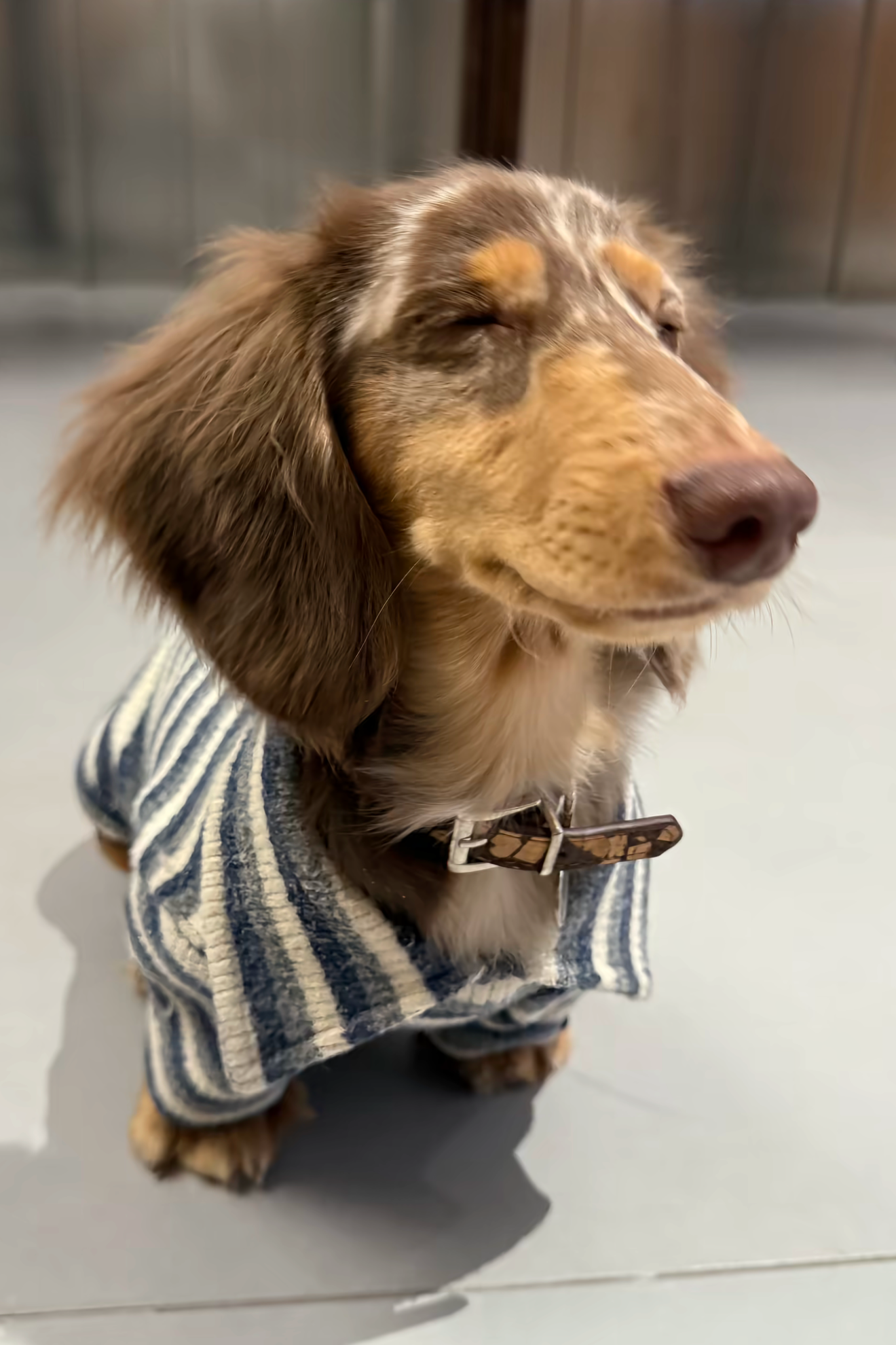 Gentle Blue Striped Polo