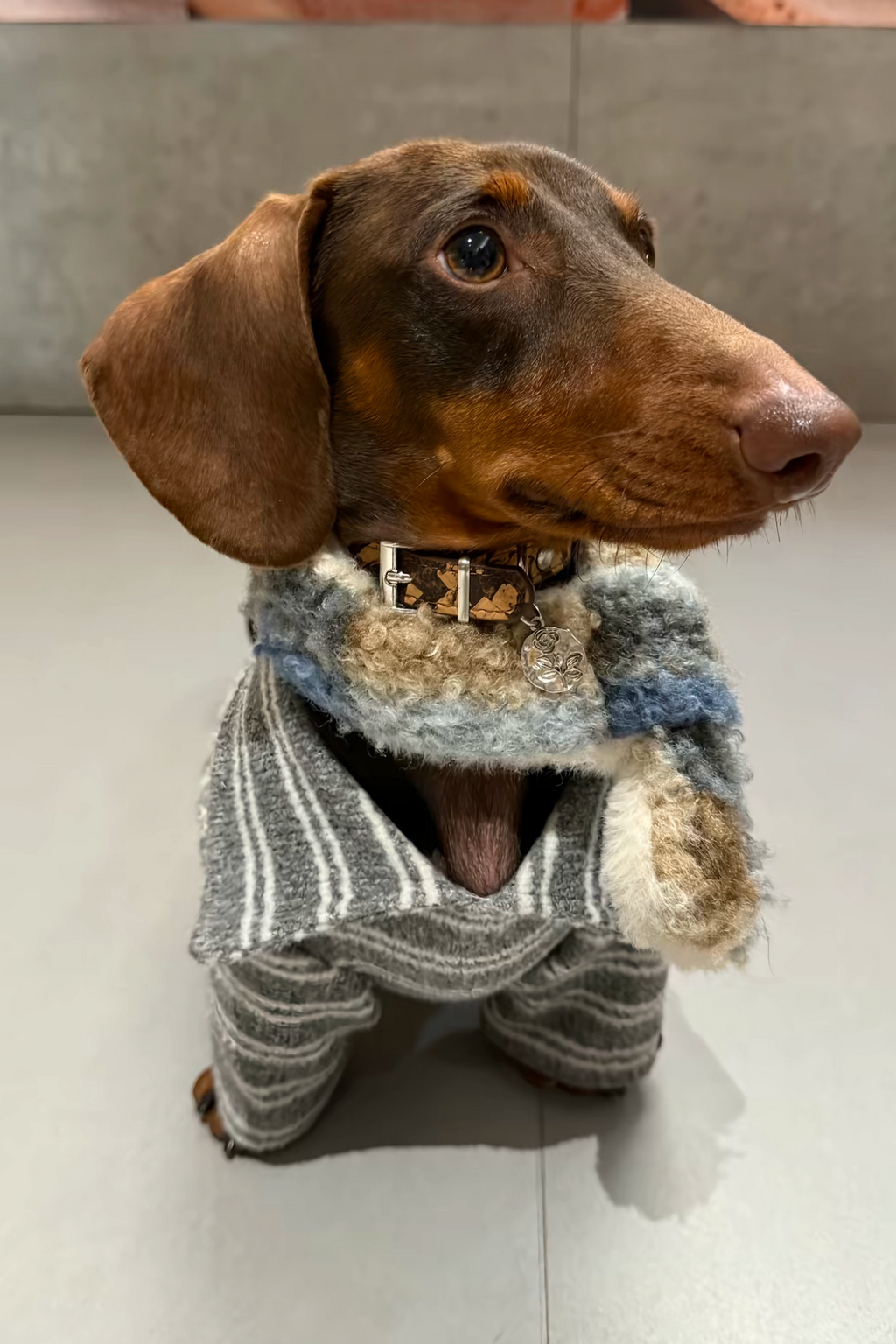 Gentle Gray Striped Polo