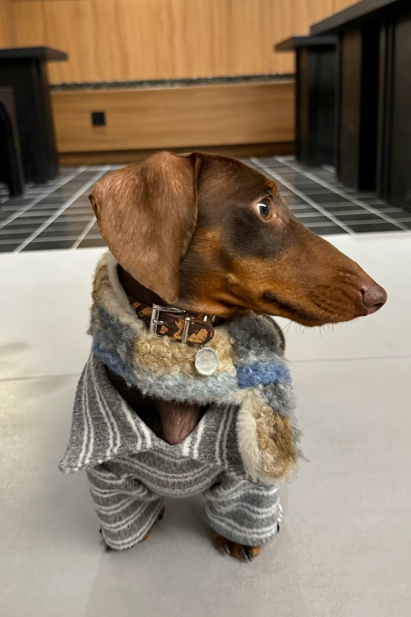 Gentle Gray Striped Polo
