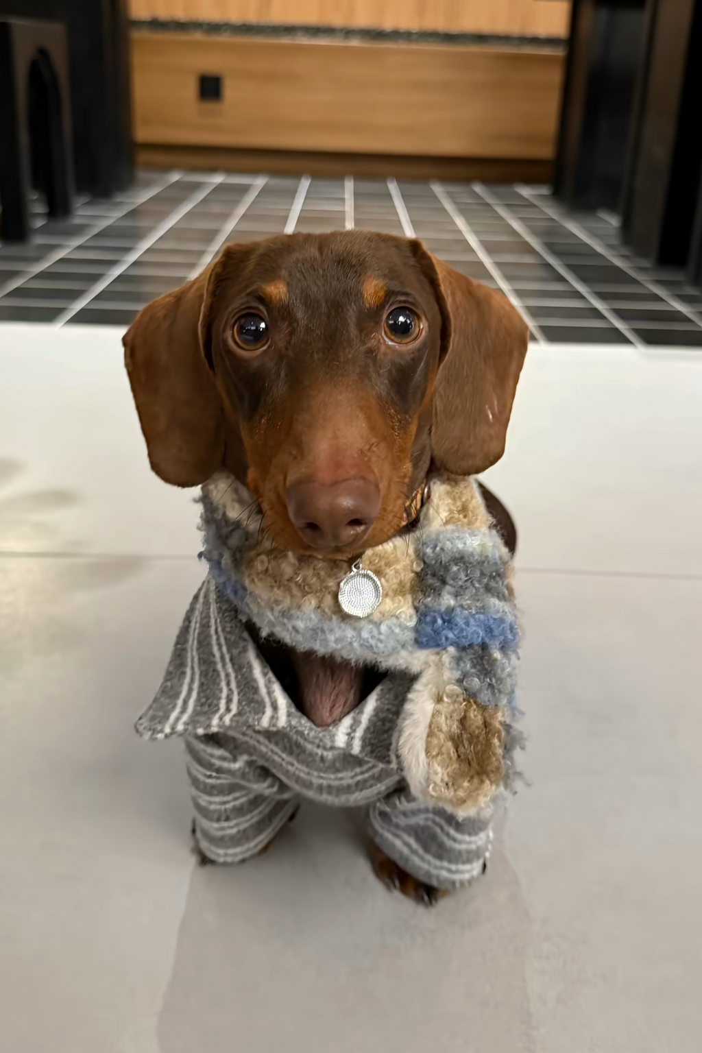 Gentle Gray Striped Polo