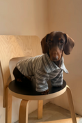 Gentle Gray Striped Polo