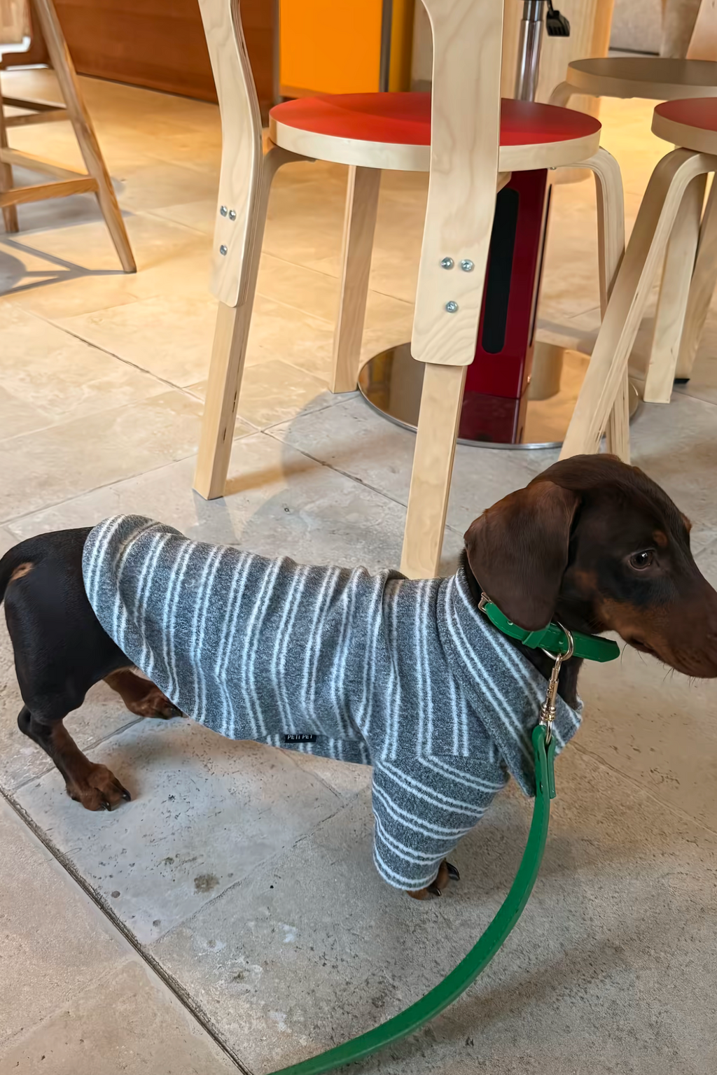 Gentle Gray Striped Polo