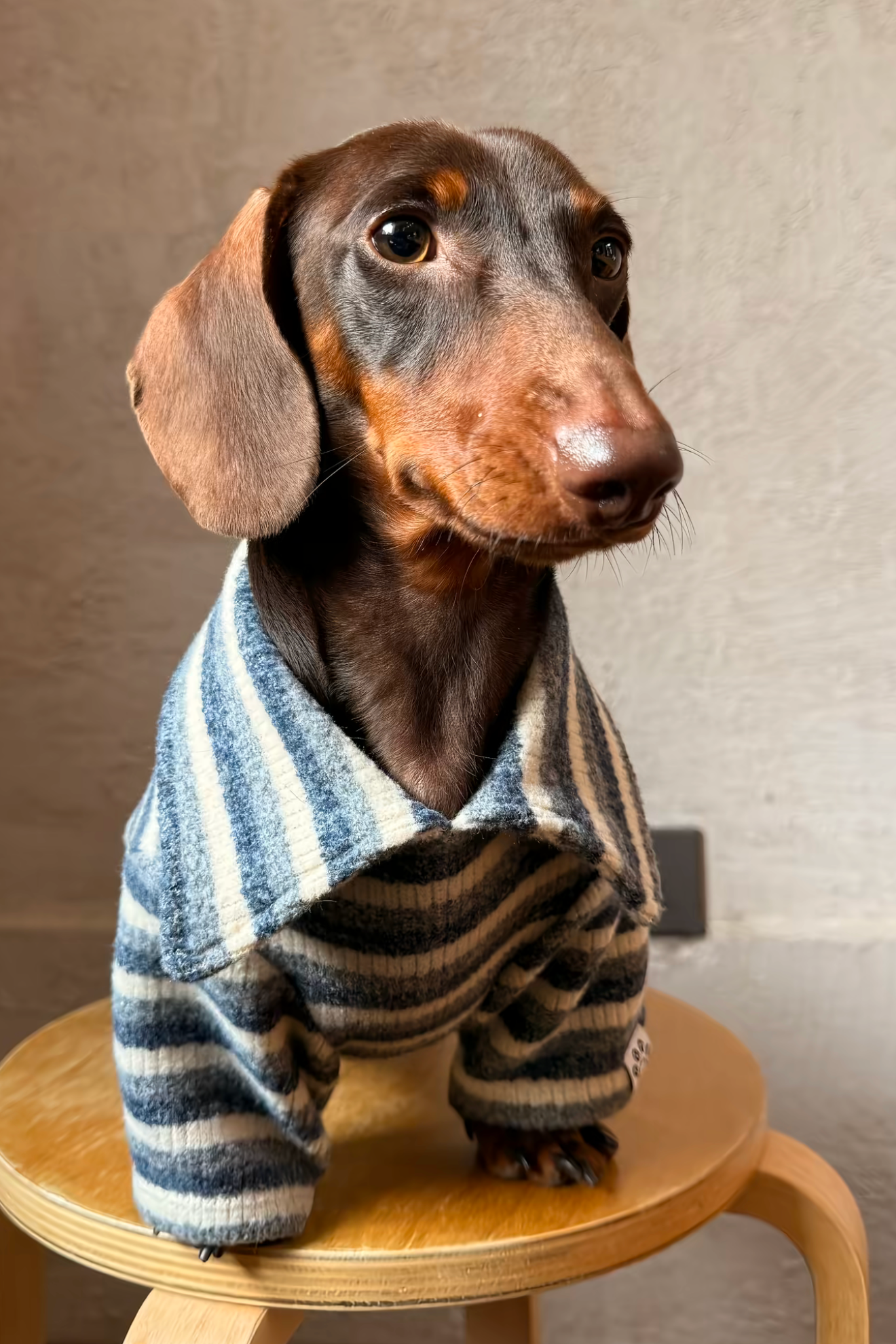 Gentle Blue Polo