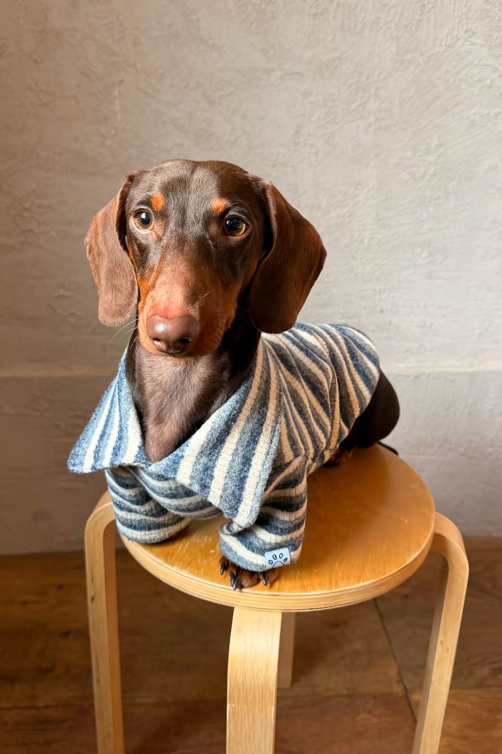 Gentle Blue Striped Polo