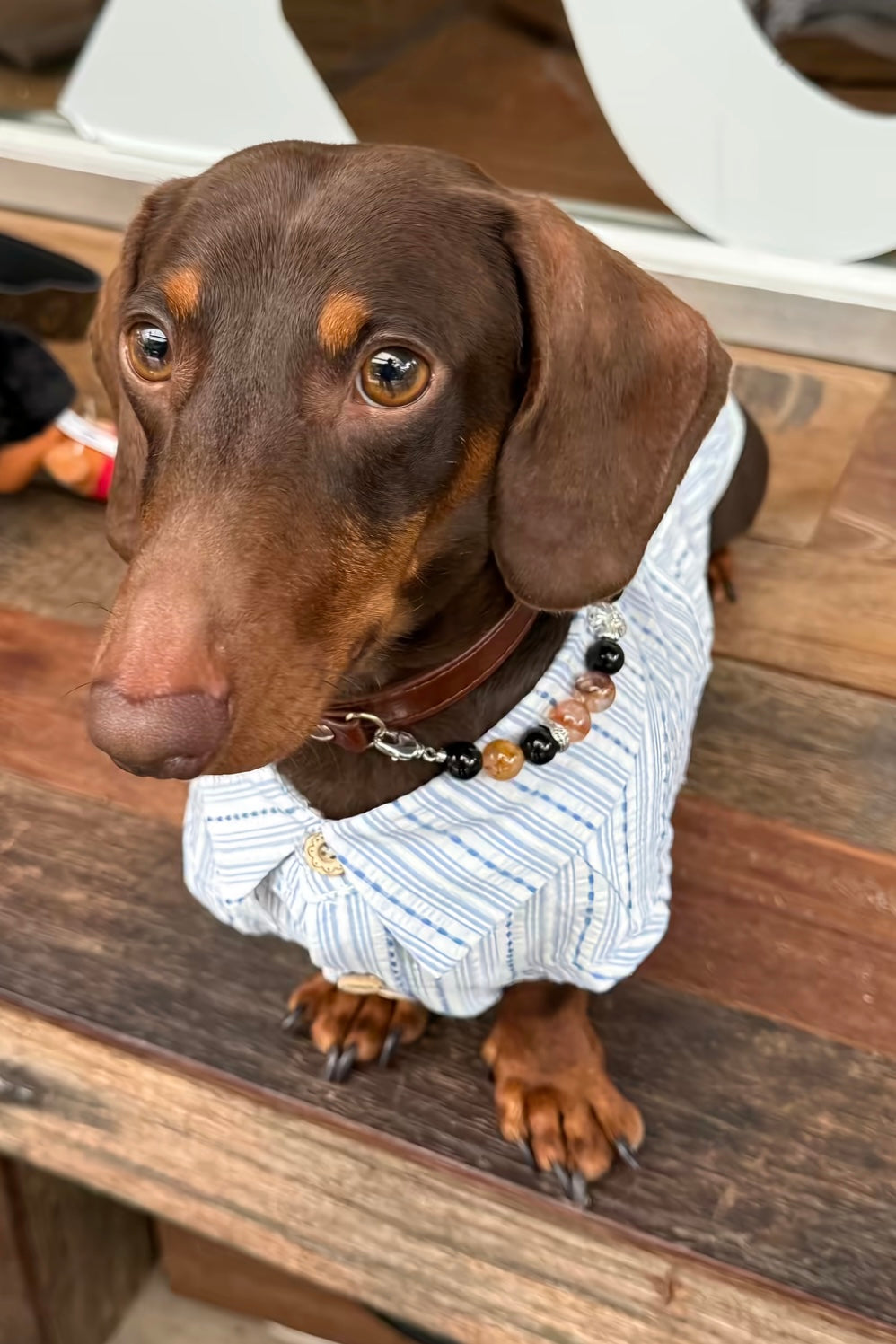 Gentle Crystal Collar