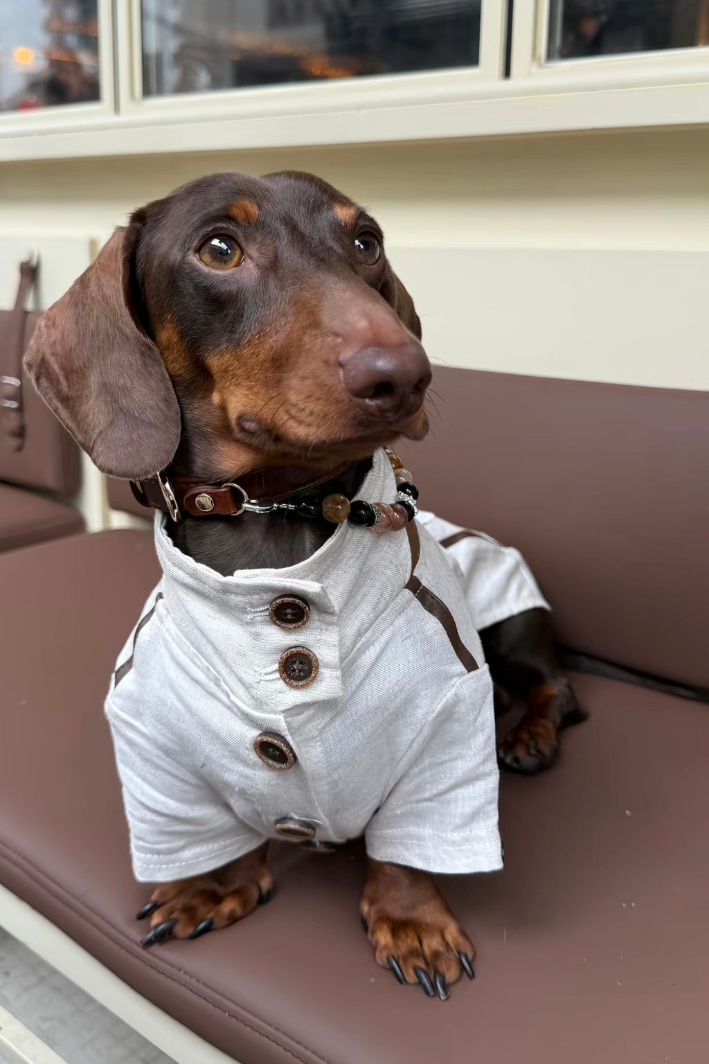 Gentle Crystal Collar