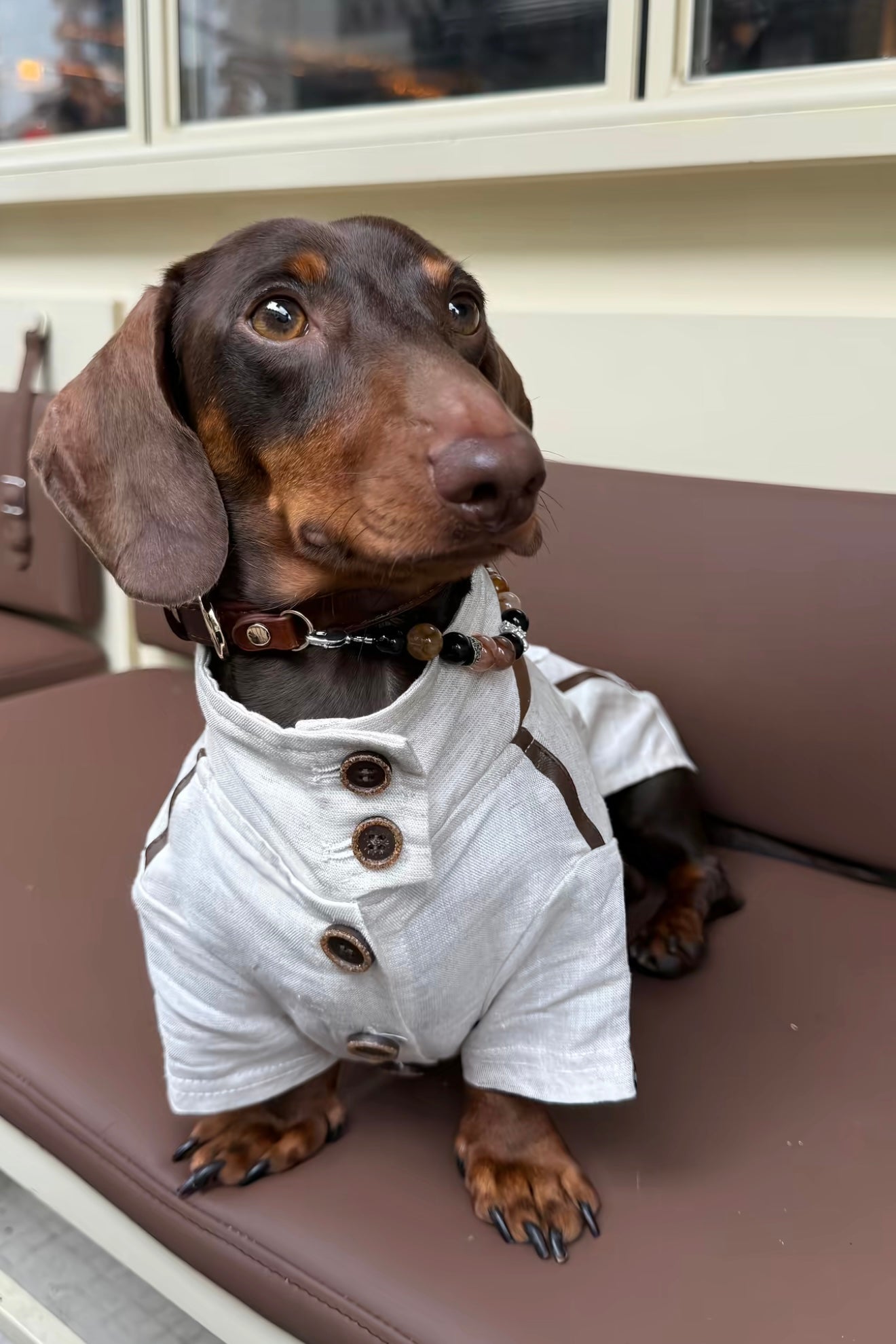Gentle Crystal Collar