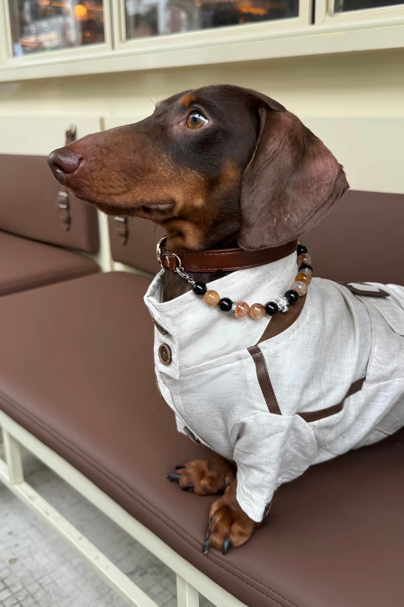 Gentle Crystal Collar