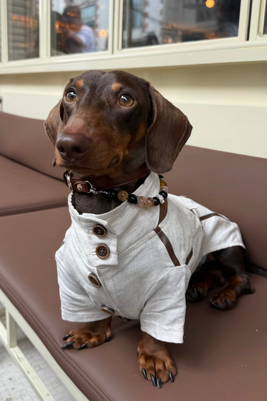 Gentle Crystal Collar