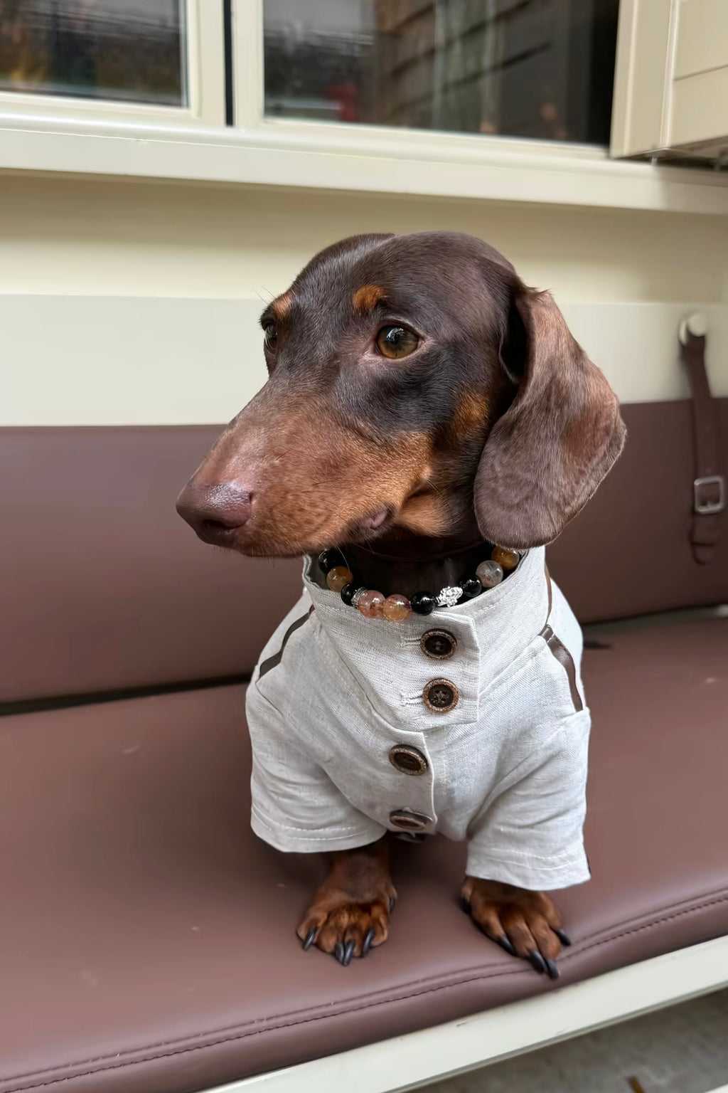 Gentle Crystal Collar