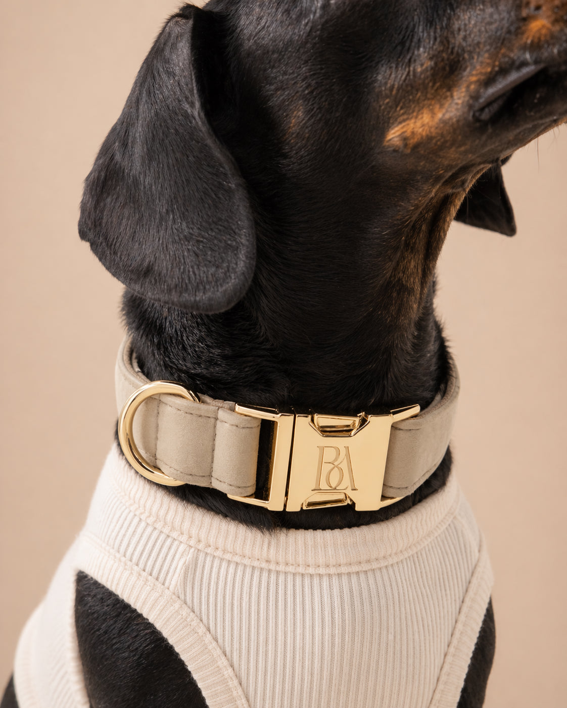 Étoupe Velvet Pet Collar
