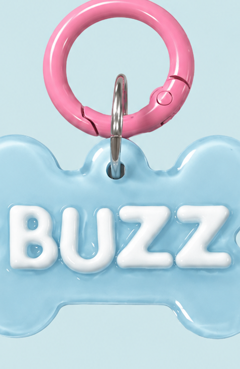 Personalised Tag - Blue Pink Puppy Bone