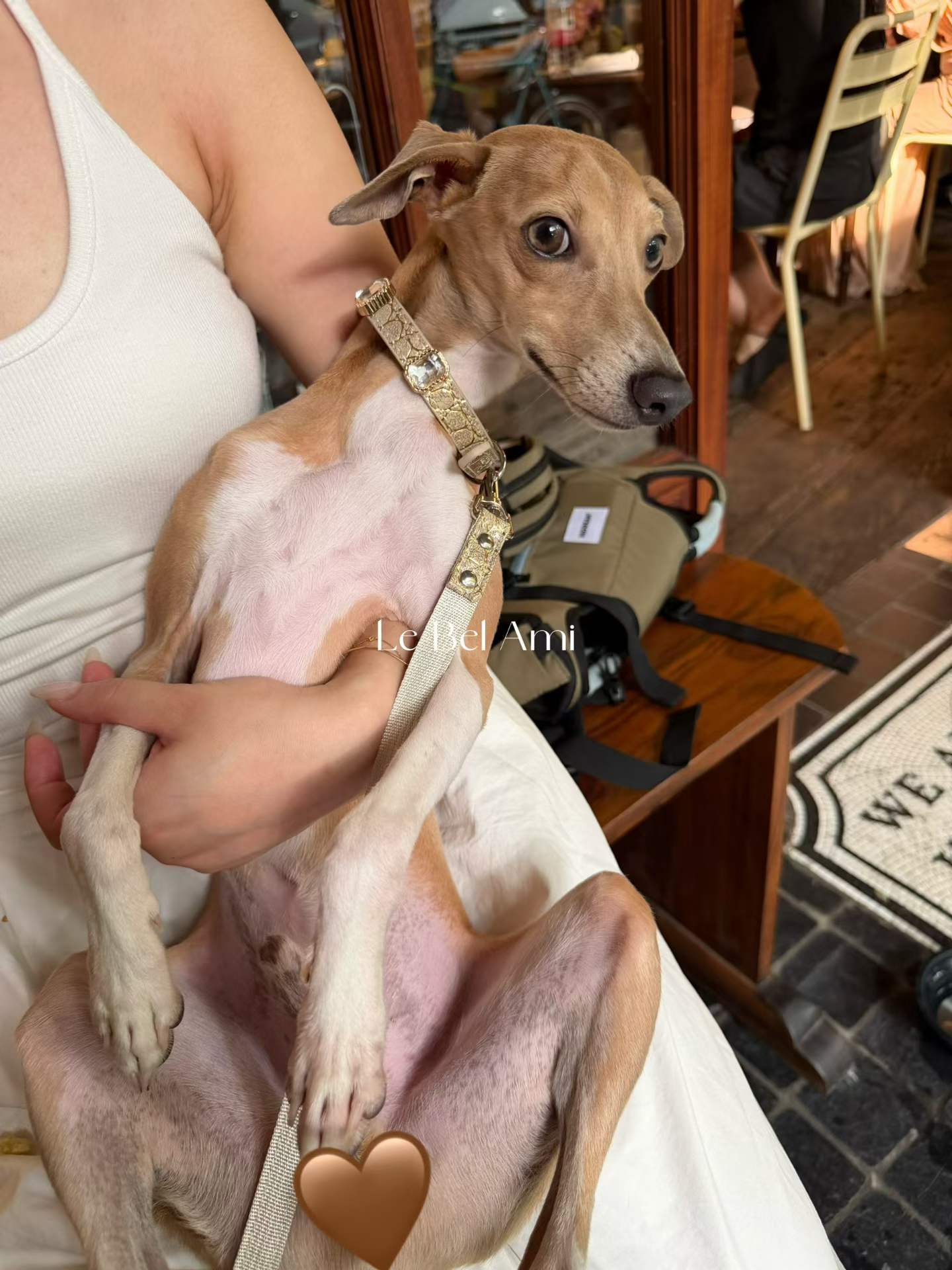 Ivory Luxe Gem Collar + Leash