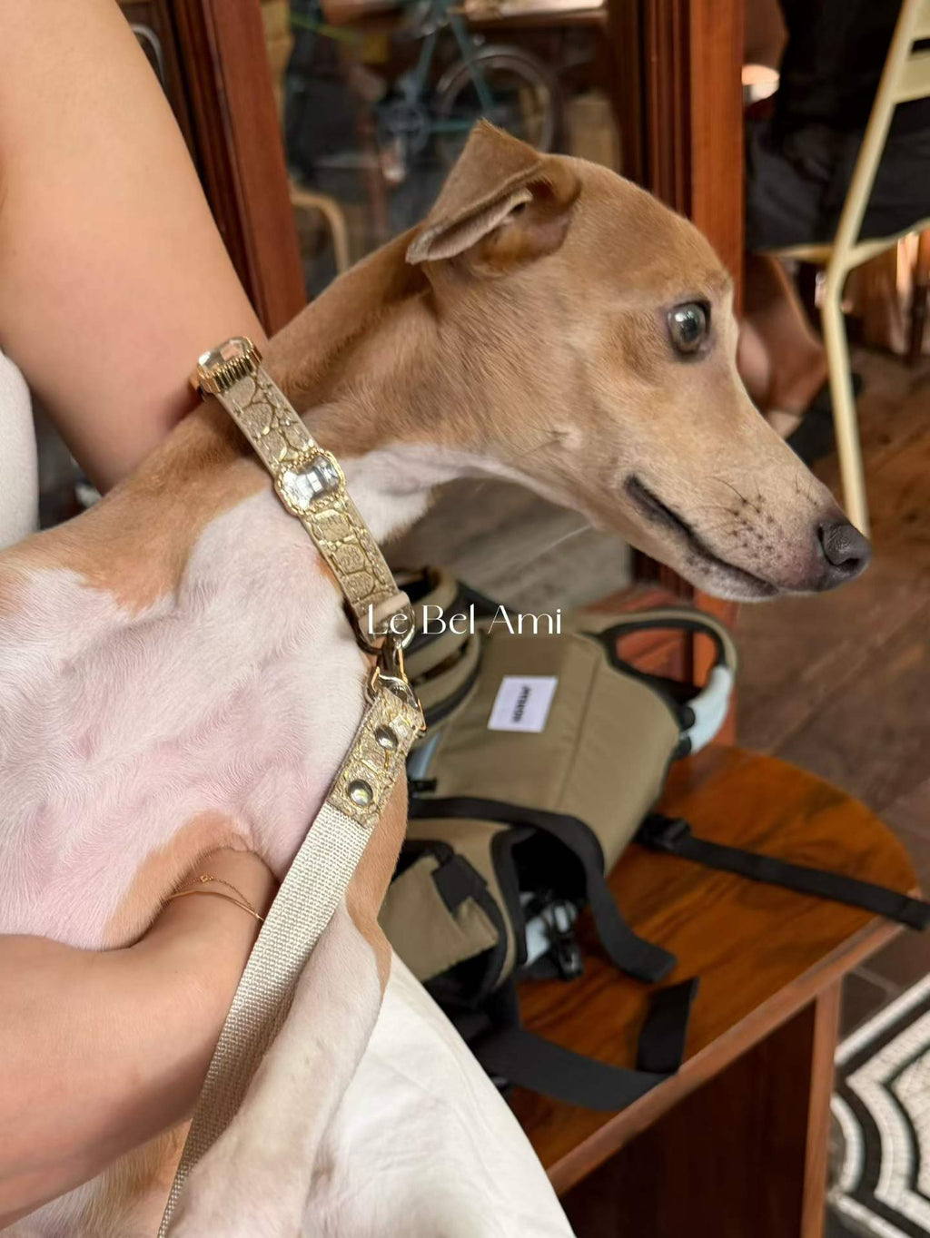 Ivory Luxe Gem Collar + Leash