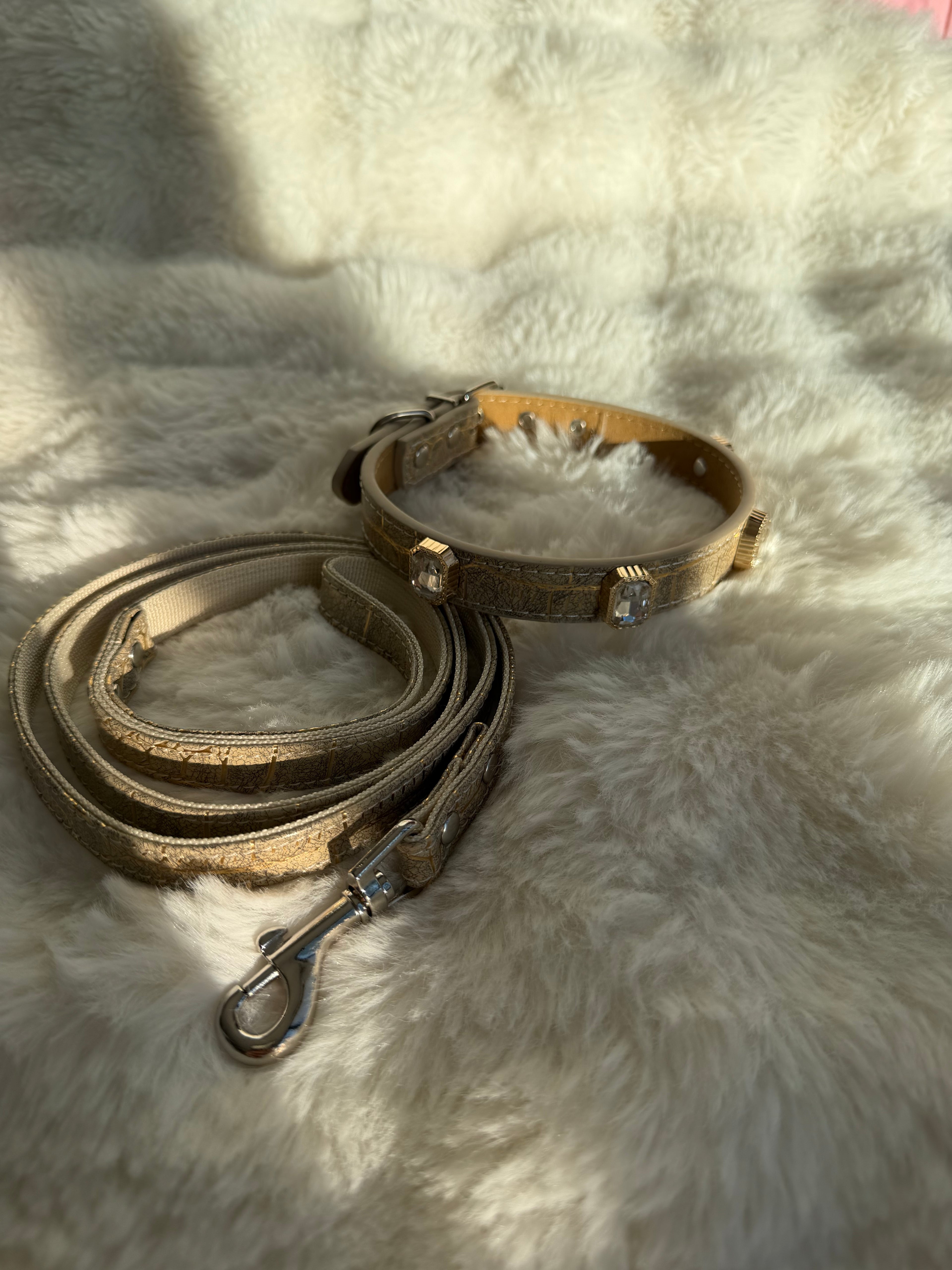 Ivory Luxe Gem Collar + Leash