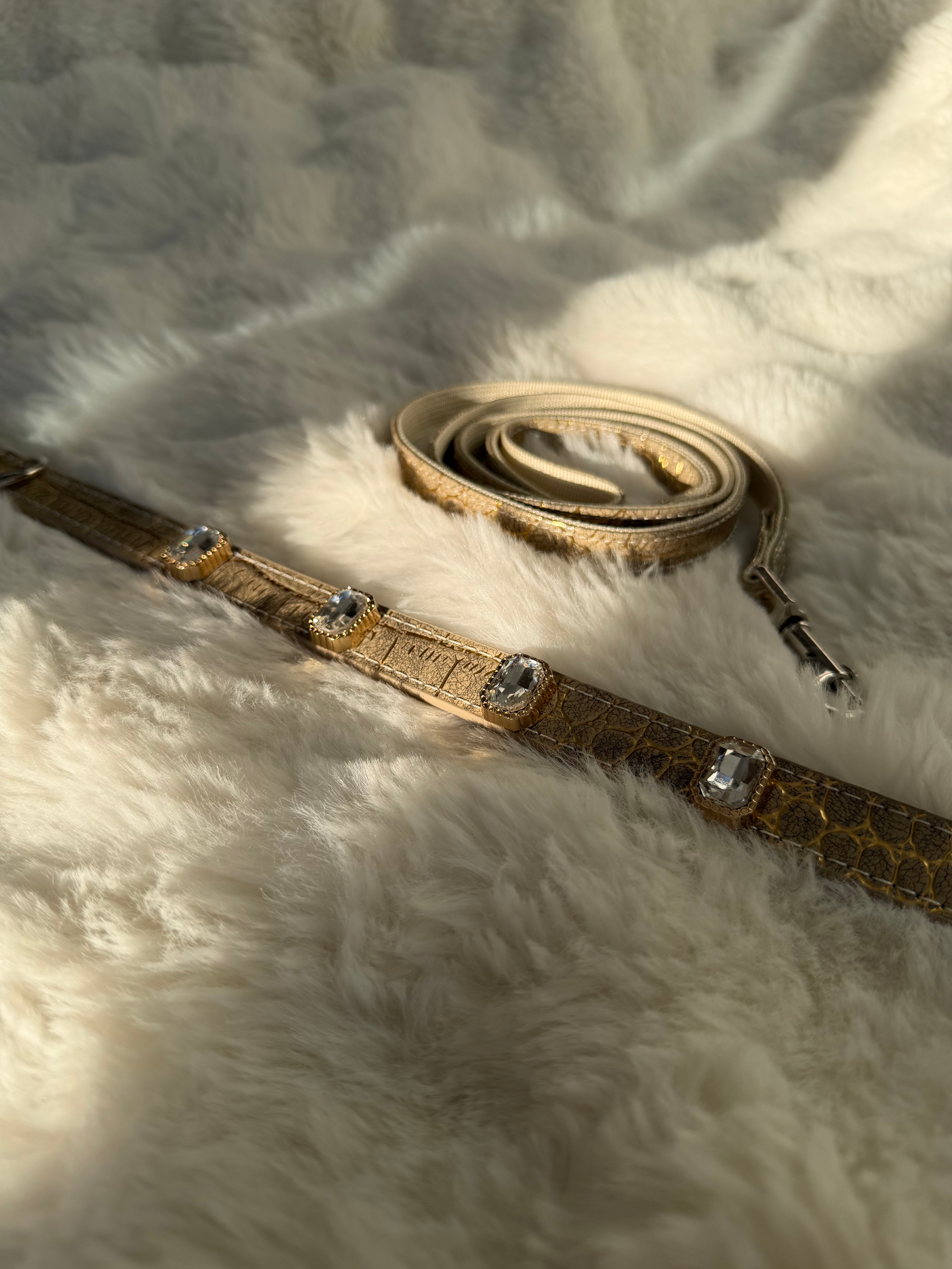 Ivory Luxe Gem Collar + Leash