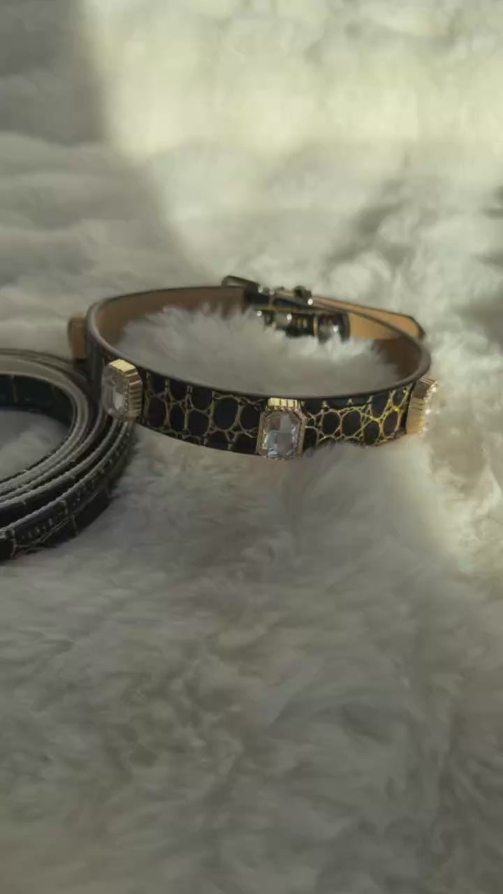Noir Luxe Gem Collar + Leash